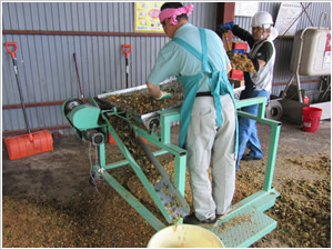 食品廃棄物で飼料を作る